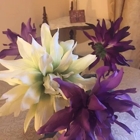 Locami Piazzetta Messinese *